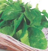 SPINACH PERPETUAL